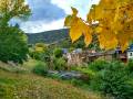 Nogar en Otoño